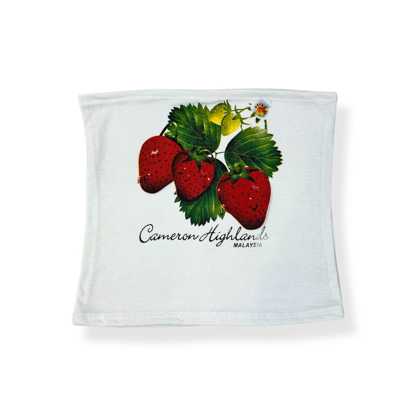 Strawberry Tube Top